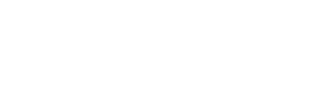 Fossils Stuff