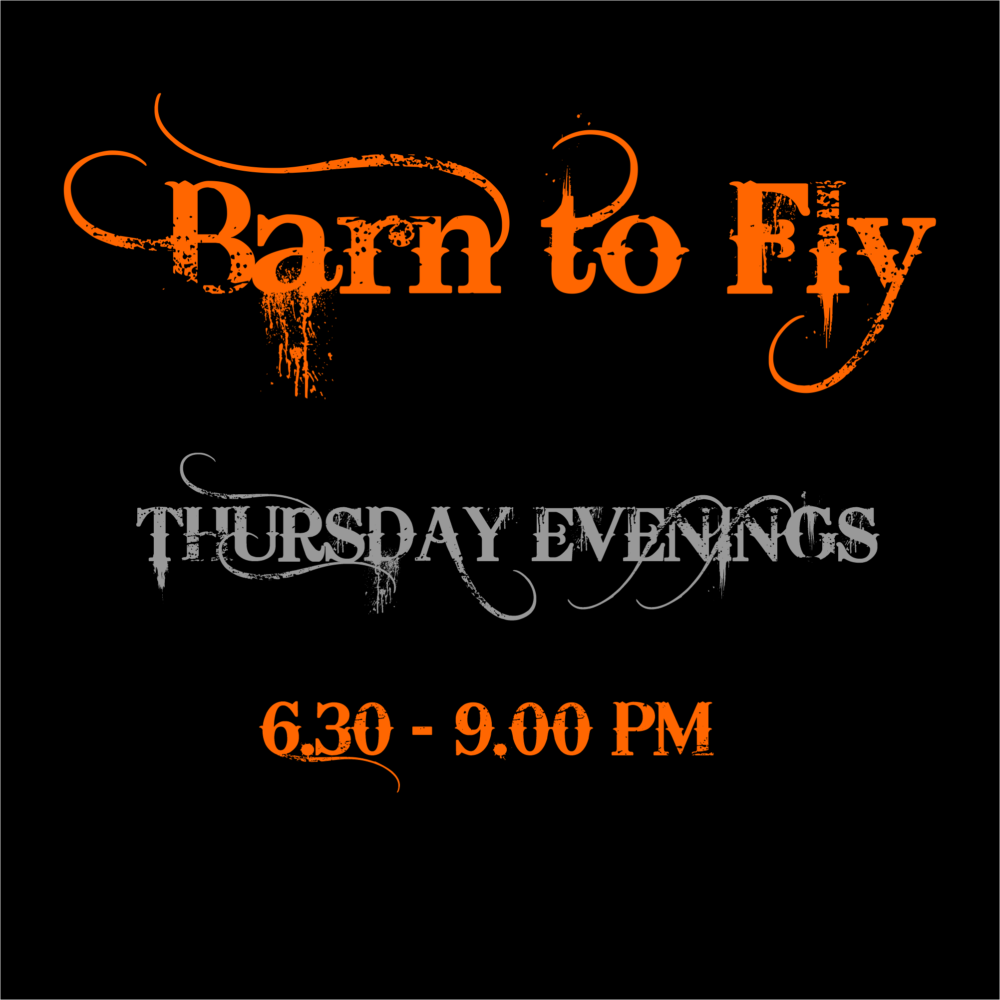 Barn to Fly Logo