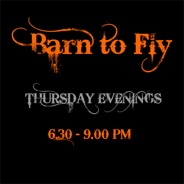 Barn to Fly Logo